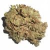 purple afghan kush weed strain
