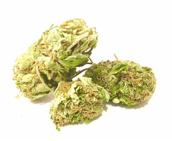 buy white widow weed online
