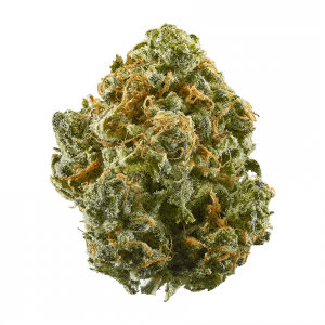 blue dream weed strain bushwick