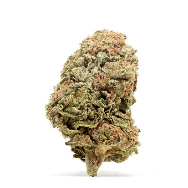 indoor blackberry kush,