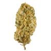 jack herer weed Amsterdam