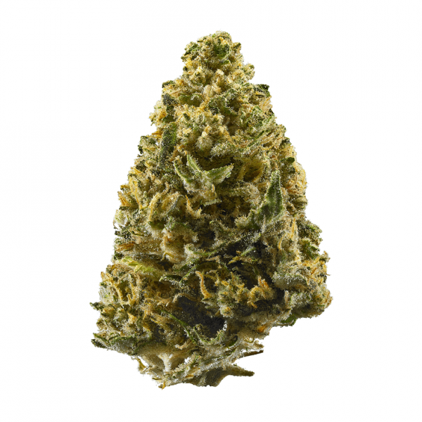 purple kush purple northern lights strain