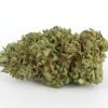 vvs platinum og strain