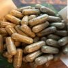 golden teacher capsules usa