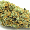 purple gods green crack strain