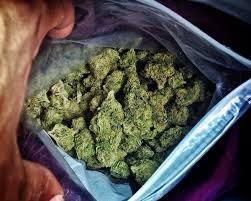Buy blueberry kush florida