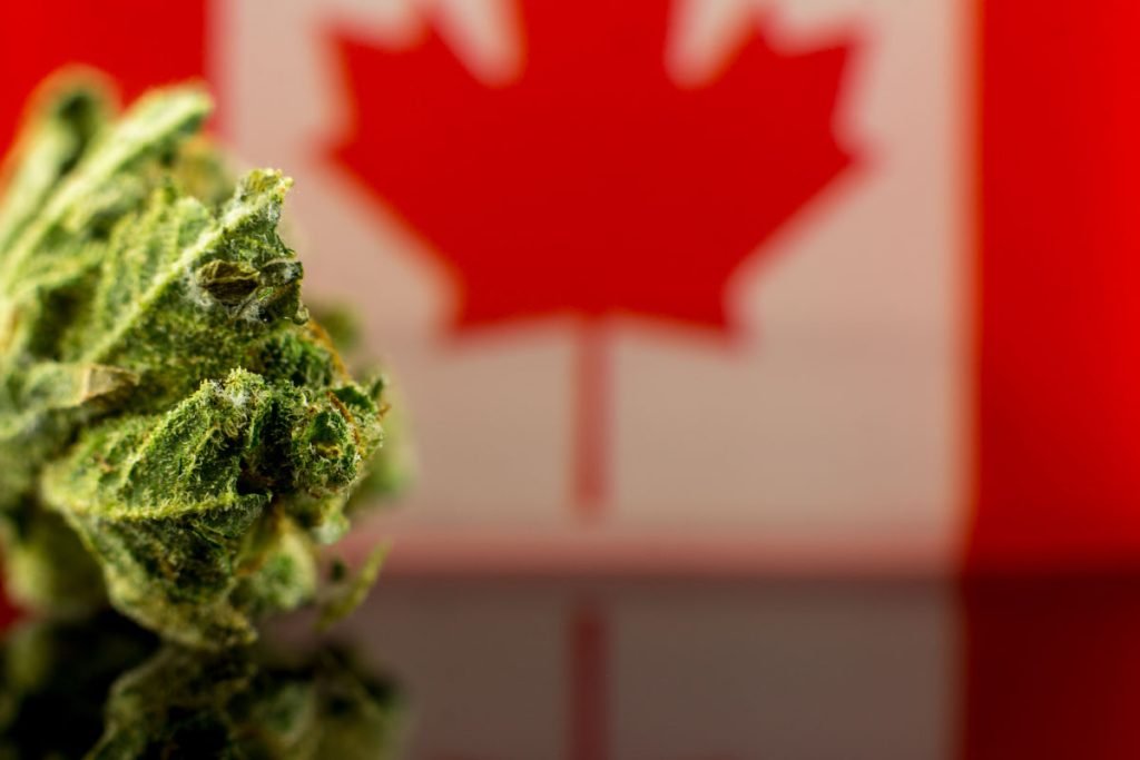 Marijuana Legalization Canada