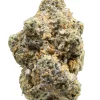 Buy Rainbow Sherbet Strain Online