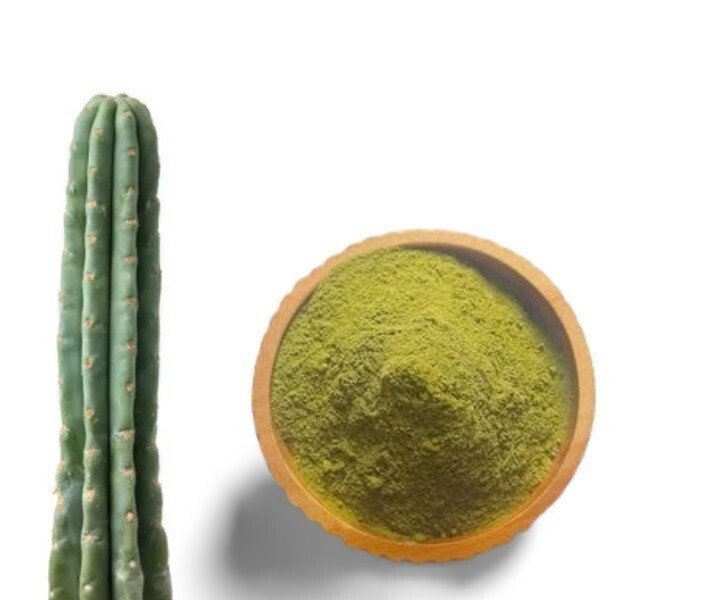 Buy Mescaline Powder