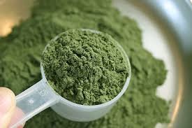 mescaline powder for sale